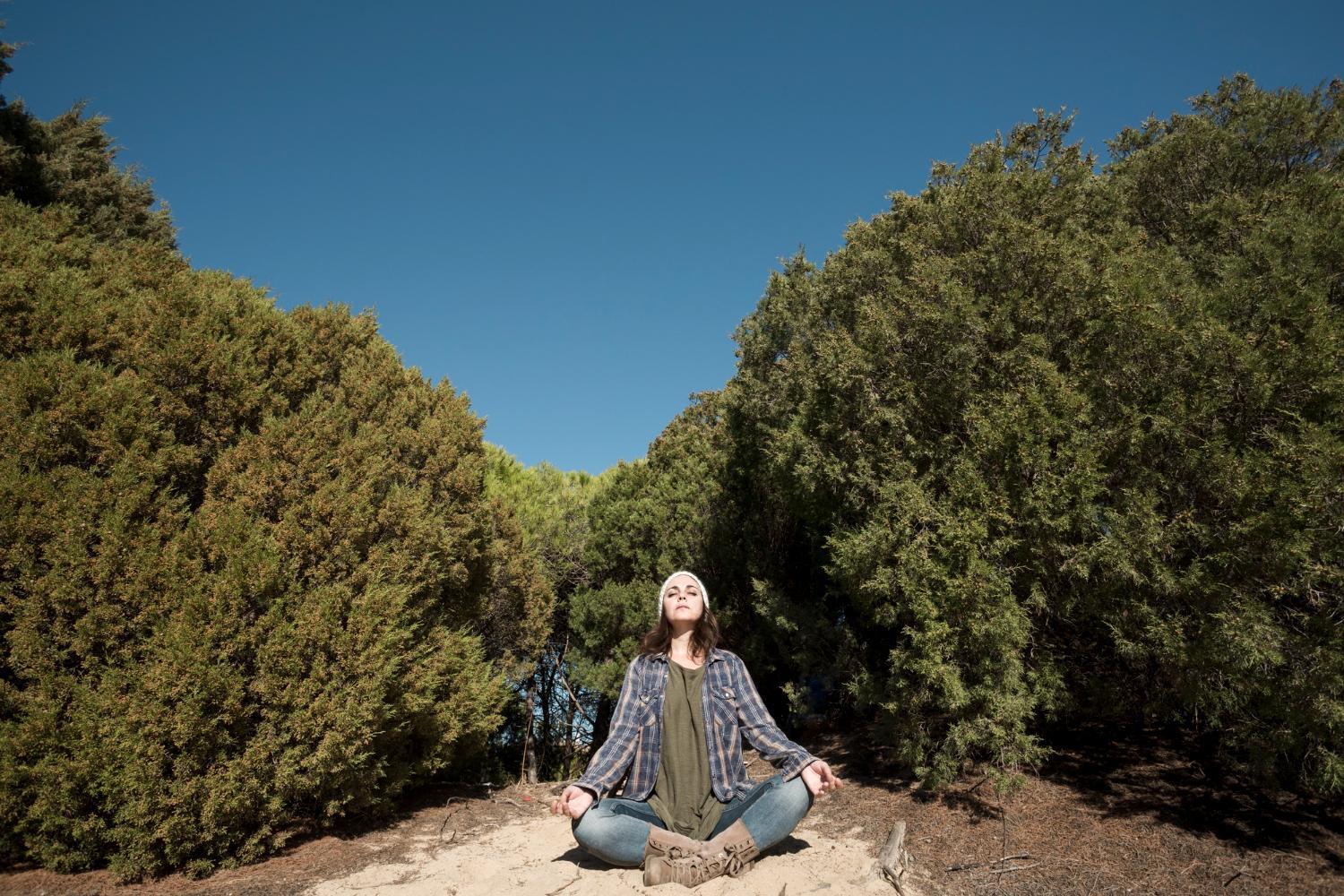 The Mindful Plot: Finding Calm and Connection in Your Green Space.