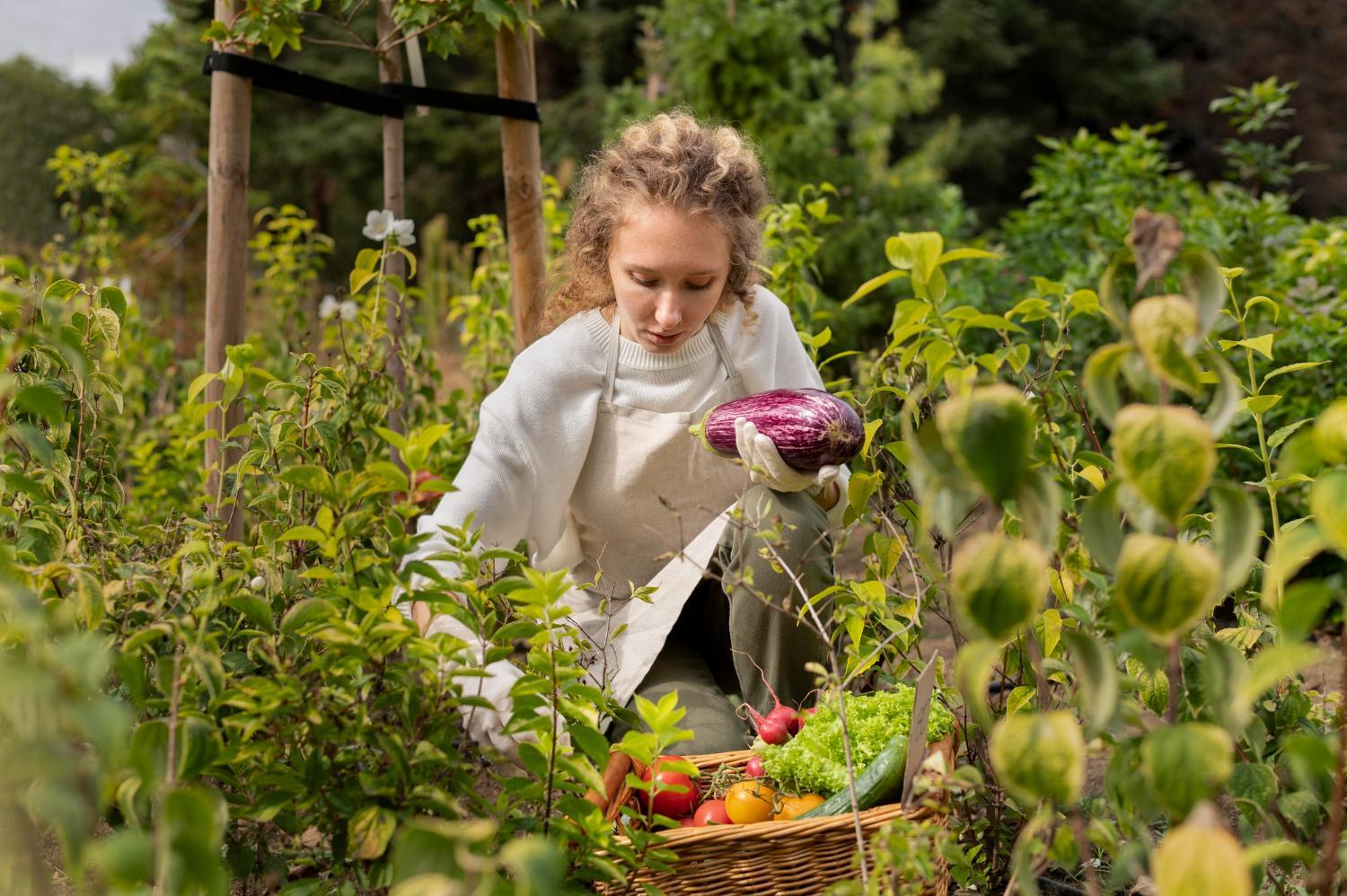 Harvesting Your Bounty: Tips and Culinary Ideas